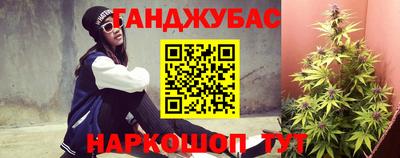 гашик Новоалтайск
