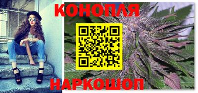 шишки Новоалександровск