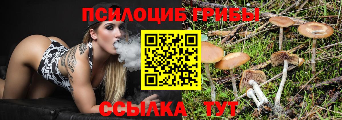 Псилоцибиновые грибы мицелий  Вход с VPN  Галлюциногенные грибы ЛСД  Ижевск 